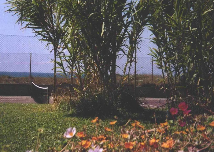Della Baia